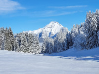 Arbres enneigés et Trelod